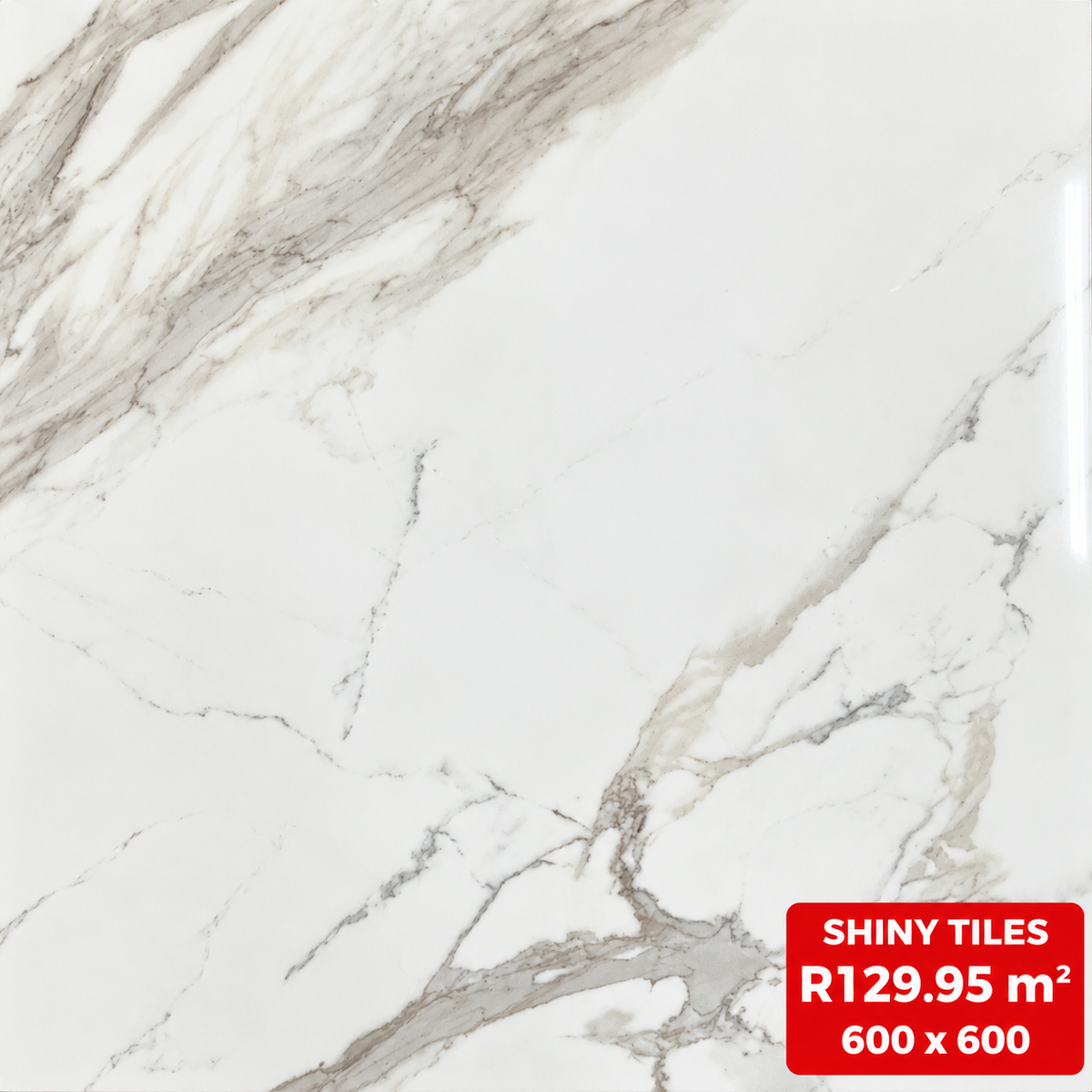 600x600 Porcelain Floor & Wall Tiles C- GR Shiny R129 m2