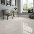 Camelia Ivory 500X500 A Shiny 2.000m2/Box (2nd Grade)