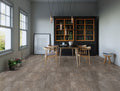 Daphne Taupe 500X500 A Shiny 2.000m2/Box (1st Grade)