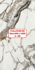 Size 600 x 1200 shiny porcelain tiles