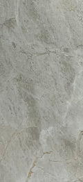 RP612005 C-GR FLOOR/WALL TILE SIZE (600x1200) SHINY R149.95 M2