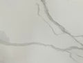 RG8029 MATT PORCELAIN POLARIS SIZE (800x800) 1.92 M2/ BOX SIN