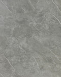 RG8009 MATT PORCELAIN THUNDER GREY SIZE (800x800) 1.92 M2/ BOX (SIN)