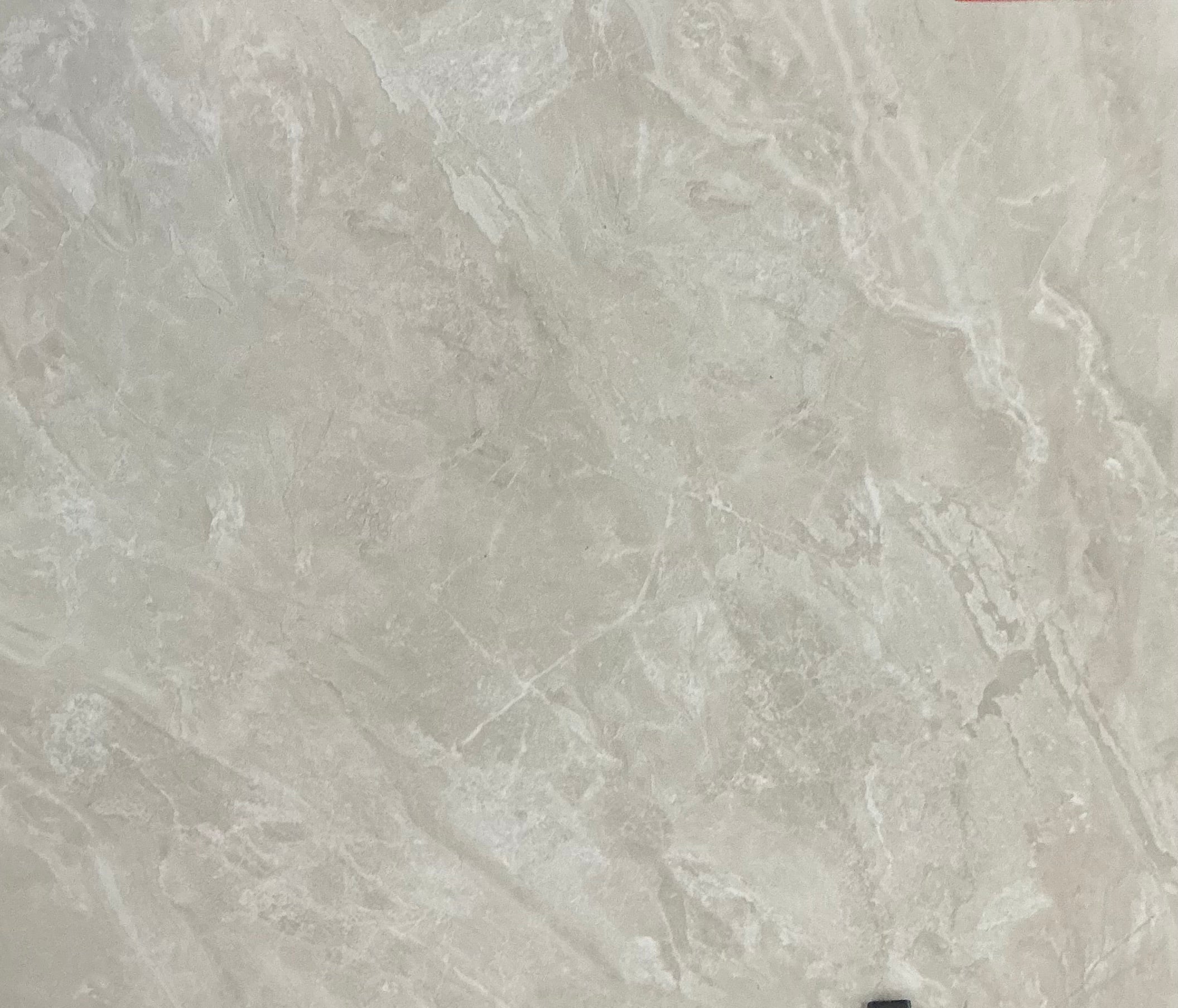 RG8002 MATT PORCELAIN BURDER BEIGE SIZE (800x800) 1.92 M2/ BOX (SIN)