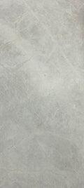 RG50061 MATTE FLOOR/ WALL TILE SIZE (600 x 1200) C - GR R119.00 M2