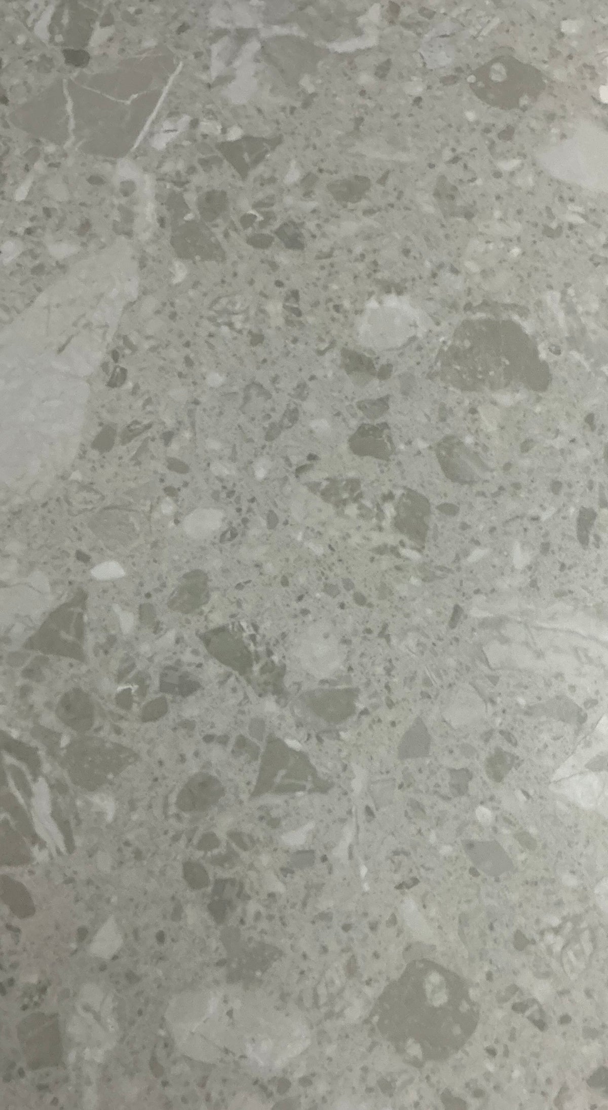 RGTT505 MATTE FLOOR/ WALL TILE SIZE (600 x 1200) C - GR R119.00 M2
