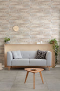 Next Cement Grey Eco 450X900 A Matt 2.025m2/Box (2nd Grade)