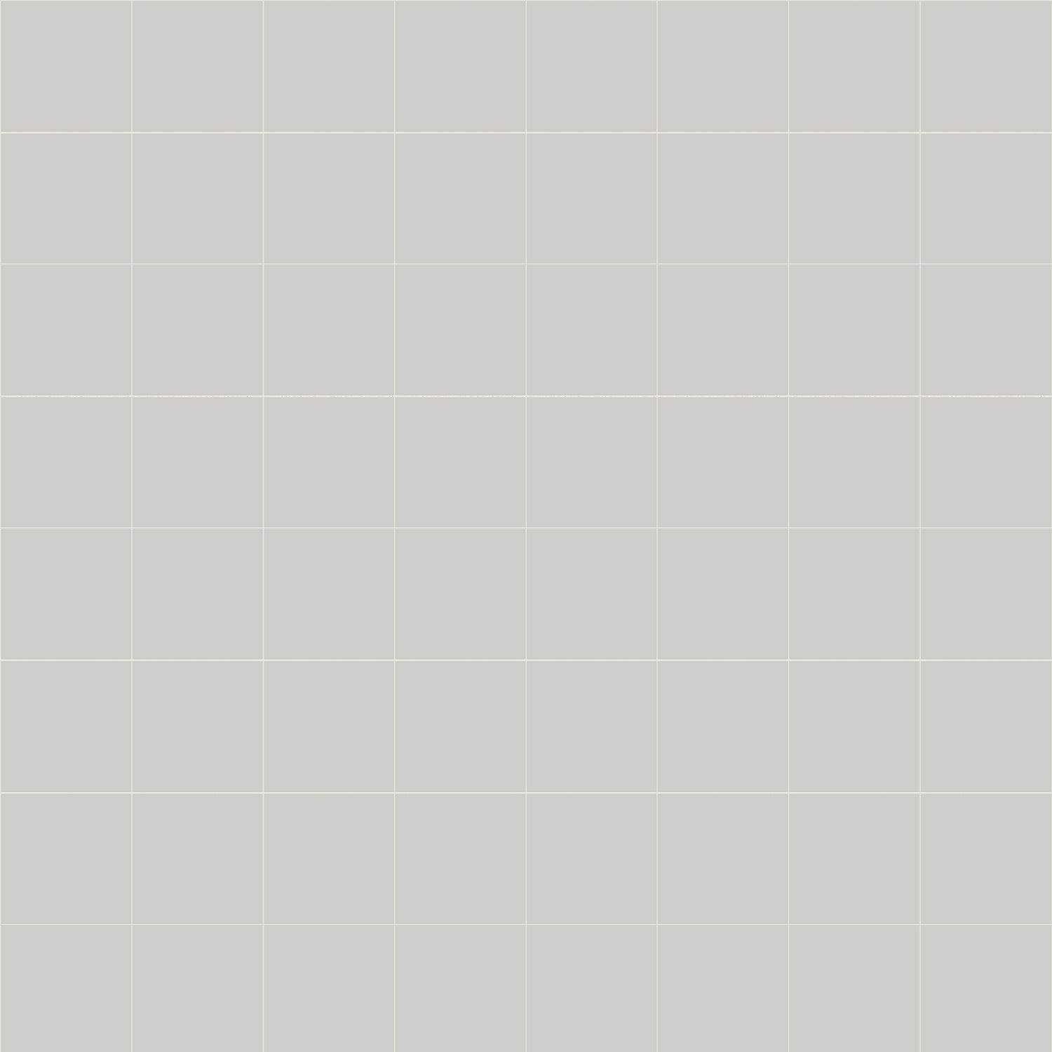 Project Grey 200X200 A Satin 1.520m2/Box (3rd Grade)
