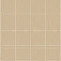 Salt & Pepper Beige Sr 350X350 A Slip Resistant 1.590m2/Box (2nd Grade)